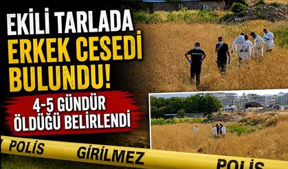 Ekili Tarlada Erkek Cesedi Bulundu! 4-5 Gündür Ölü Olduğu Belirlendi