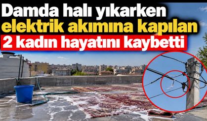 Damda halı yıkarken elektrik akımına kapılan 2 kadın hayatını kaybetti