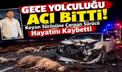 Gece Yolculuğu Acı Bitti: Koyun Sürüsüne Çarpan Sürücü Hayatını Kaybetti
