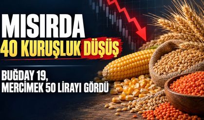 Mısırda 40 kuruşluk düşüş: buğday 19, mercimek 50 lirayı gördü