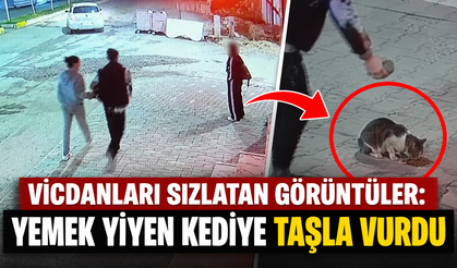 Vicdanları Sızlatan Görüntüler: Yemek Yiyen Kediye Taşla Vurdu