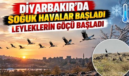 Diyarbakır'da Soğuk Havalar Başladı: Leyleklerin Göçü Başladı