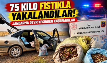 75 Kilo Fıstıkla Yakalandılar! Jandarma Devriyesinden Kaçamadılar