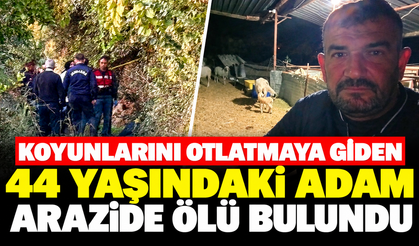 Koyunlarını Otlatmaya Giden 44 Yaşındaki Adam Arazide Ölü Bulundu