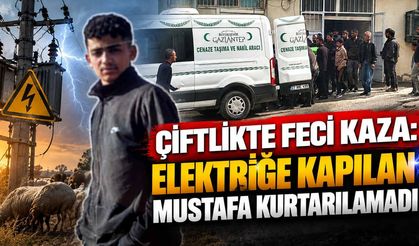 Çiftlikte Feci Kaza: Elektriğe Kapılan Mustafa Kurtarılamadı