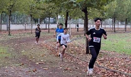 Diyarbakır'da Cumhuriyet Halk Koşusu Heyecanı: Sporcular Derece İçin Ter Döktü