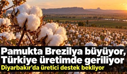Pamukta Üretim Geriliyor:  Üreticinin Gözü Desteklerde