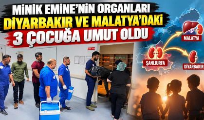 Minik Emine’nin Organları Diyarbakır ve Malatya'daki 3 Çocuğa Umut Oldu
