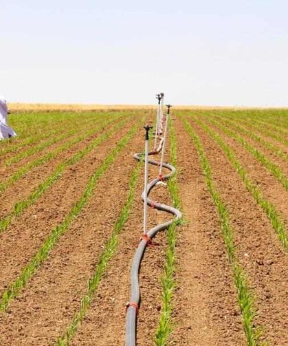 Dicle Elektrik: Bilinçsiz Sulama Enerji Şebekesini Zorluyor