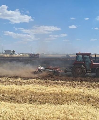 Tarlada Çıkan Yangında 80 Dönüm Ekili Buğday Alan Zarar Gördü