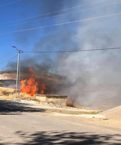 Elektrik Akımına Kapılan Karga Alev Alarak Bahçeye Düştü