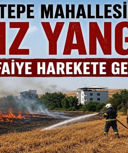 Esentepe Mahallesi'nde Anız Yangını: İtfaiye Harekete Geçti