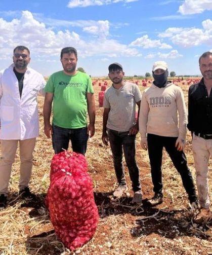 Kar ve Don Hasadı Geciktirdi, Sarımsak Üreticileri İş Başında