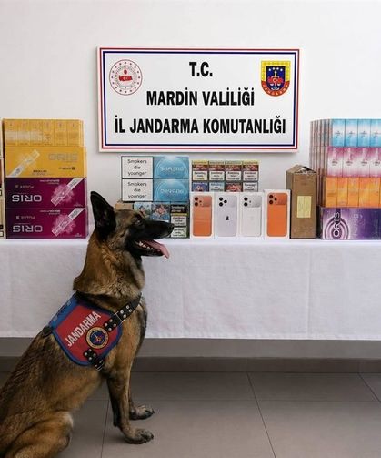 Jandarmadan Kaçakçılık Operasyonu: 2 Gözaltı