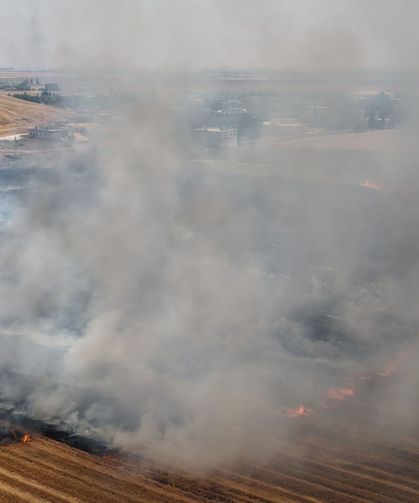 Anızı Yakmadılar; Mısır, Soya ve Susamı Doğrudan Ektiler