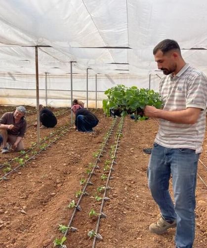 Su Geldi, Göç Bitti: Artık Kendi Topraklarının Patronu Oldular!