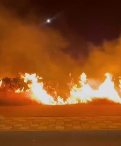 Adıyaman’daki Orman Yangınında 1 Tutuklama