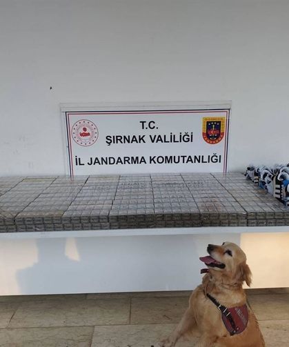 Jandarma Ekiplerinden Bir Haftalık Bilanço: 47 Şüpheli Yakalandı