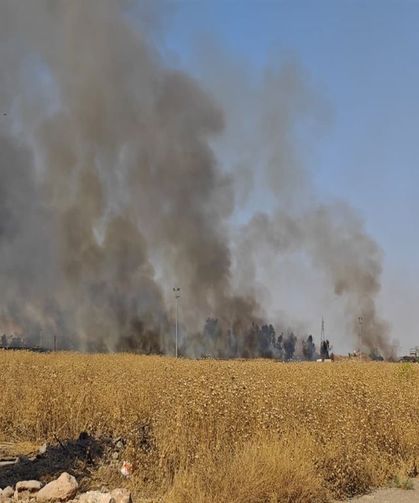 Suriye'de Başlayan Anız Yangını Türkiye'ye Sıçradı: Ekiplerin Müdahalesiyle Söndürüldü