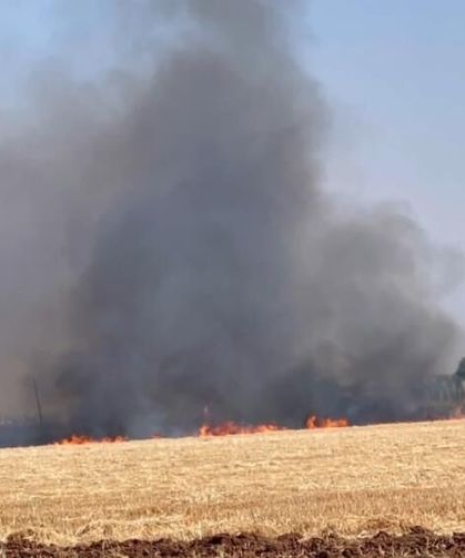 Toprağa Can, Çiftçiye Kazanç: 'Anız Yakmadan Üretim' Modeli Yayılıyor