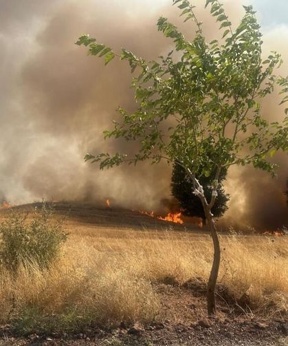 Trafo Yangınında 1 Hektarlık Ağaçlık Alan Küle Dönüştü