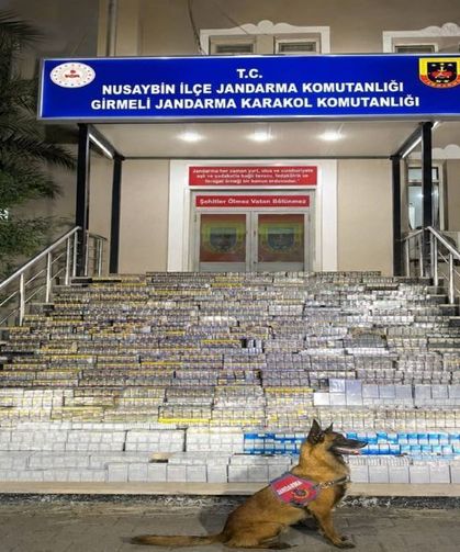 18 Bin 900 Paket Kaçak Sigarayla Yakalandı: 1 Gözaltı