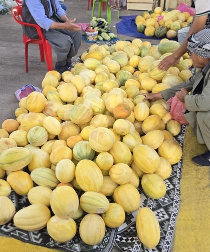 Çermik'in meşhur kavunu tezgâhlardaki yerini aldı
