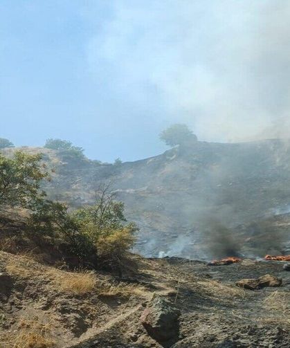Çöplükte Çıkan Yangın Ormana Sıçradı: Ekipler Seferber Oldu