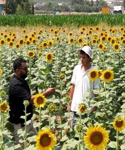 Su Toprakla Buluştu, Bölgenin Ürün Deseni Zenginleşti