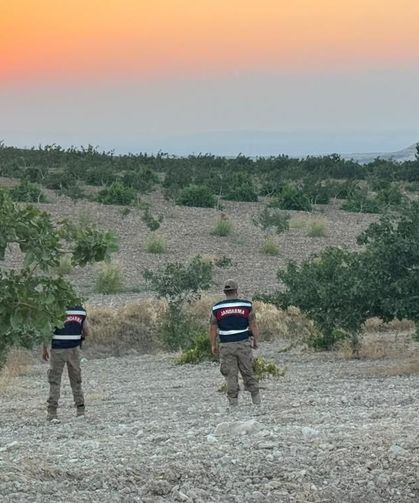 Jandarmadan Fıstık Bahçelerine Sıkı Nöbet