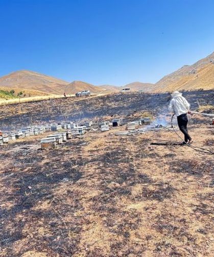 Alevlerle Mücadele Ederken Arıların Saldırısına Uğradılar
