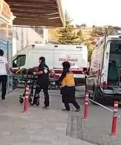 Ceviz toplarken ağaçtan düşen kişi ağır yaralandı