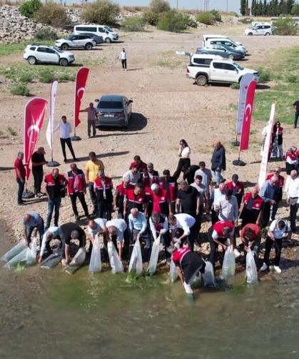 Çamgazi Barajı’na 680 Bin Yavru Sazan Bırakıldı