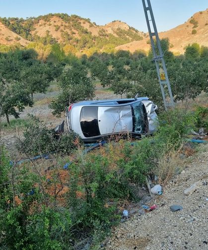 Kontrolden çıkan otomobil meyve bahçesine devrildi: 4 yaralı