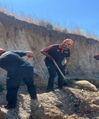 Toprak Kaymasında Can Pazarı: 3 Küçükbaş Kurtarıldı, 6'sı Telef Oldu