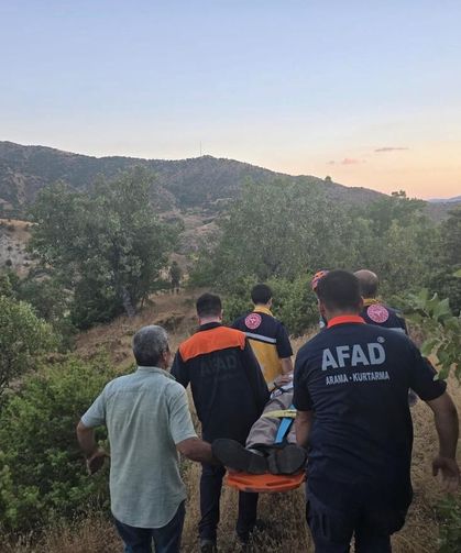 Palamut toplarken kayboldu: Ormanlık alanda bulundu