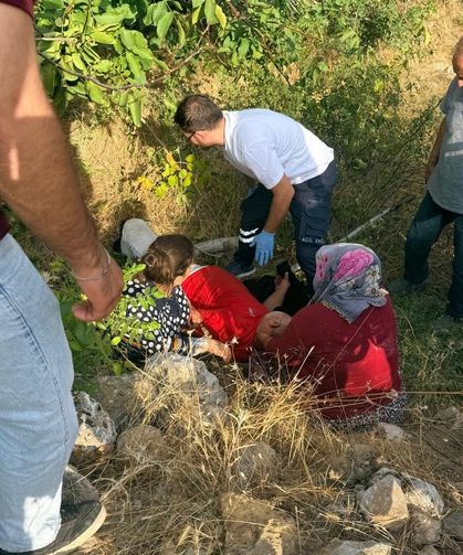 Gölbaşı’da ceviz toplarken ağaçtan düştü: 1 yaralı