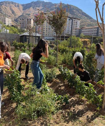 Halk Kütüphanesinde Yetiştirilen Sebzeler Ürün Verdi