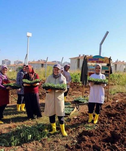 Diyarbakır’da Kadınların Yönettiği 18 Dönümlük Bostanda Yeni Dönem