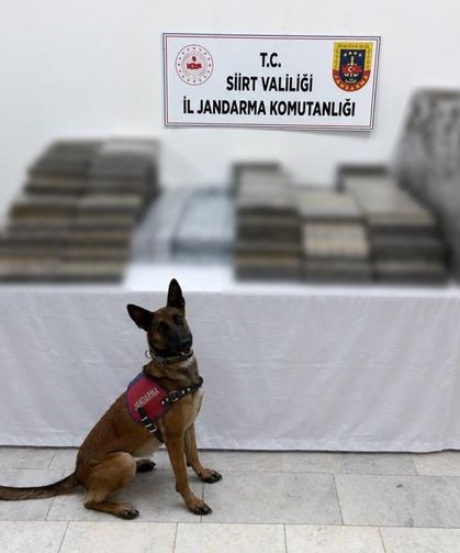 Kömür Çuvallarının Arasında Yakalandı: Binlerce Paket Kaçak Sigara Ele Geçirildi