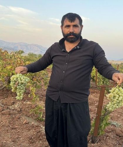 Çermik’te Üzüm Hasadı Başladı: Rekolte Yüksek, Üreticinin Yüzü Gülüyor