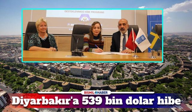 Diyarbakır'da işletmelere 539 bin dolar hibe