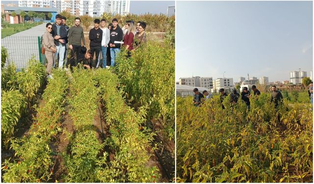 Diyarbakır'da lise öğrencilerine bahçe ve sera eğitimi