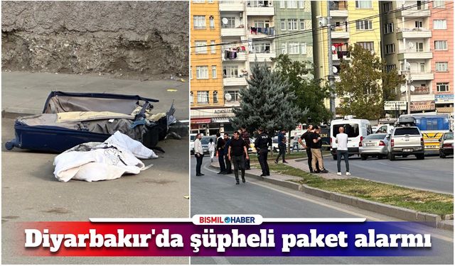 Diyarbakır'da şüpheli valiz ekipleri alarma geçirdi