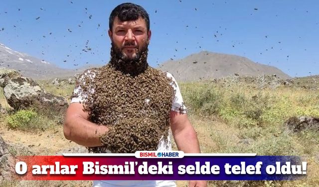 O arıcının arıları Bismil’deki selde telef oldu