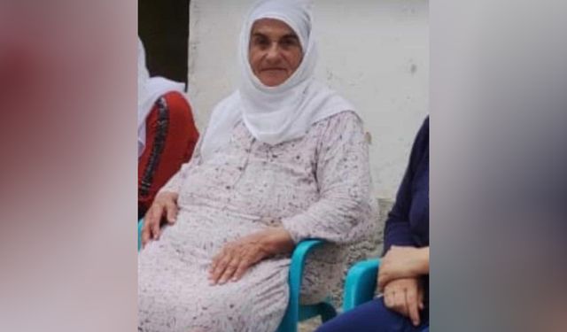 Seki (Zeko) Köyünde Samiya Erdoğan vefat etmiştir
