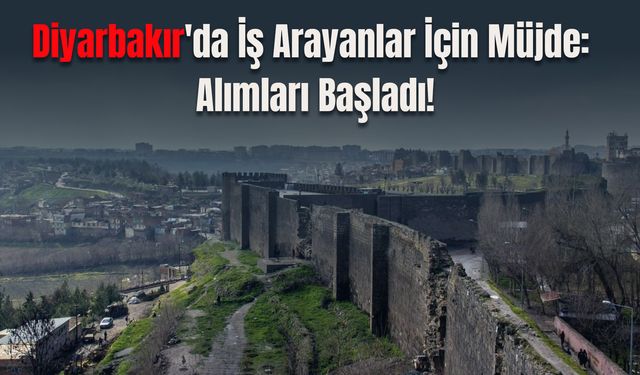 Diyarbakır'da İş Arayanlar İçin Müjde: Alımları Başladı!