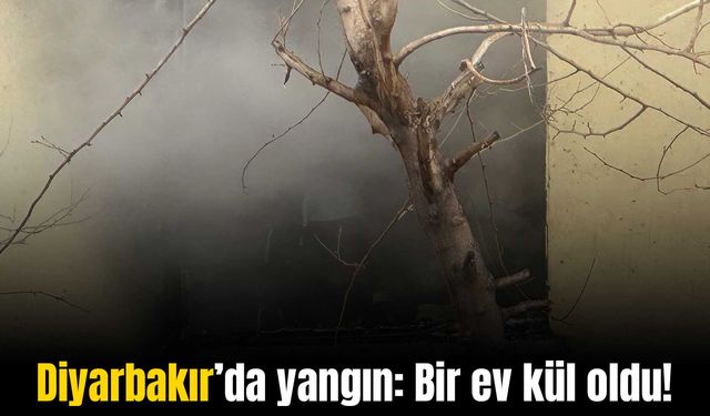 Diyarbakır’da bir ev kül oldu, yangında itfaiye personeli de yaralandı