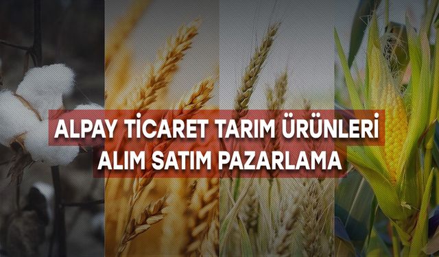 Alpay Ticaret