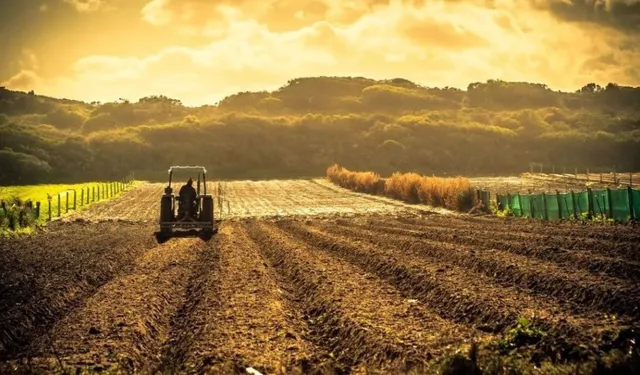 Tarımsal Destek Ödemeleri Hesaplara Yatırılıyor